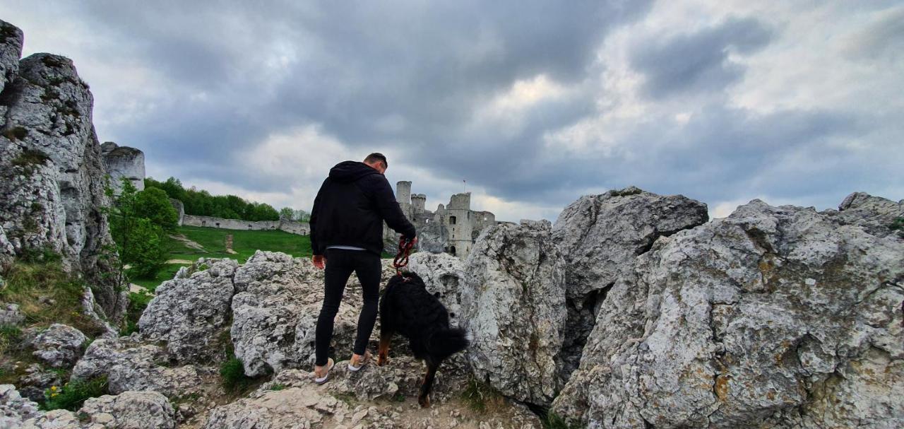 Skalny Widok Villa Hucisko  ภายนอก รูปภาพ
