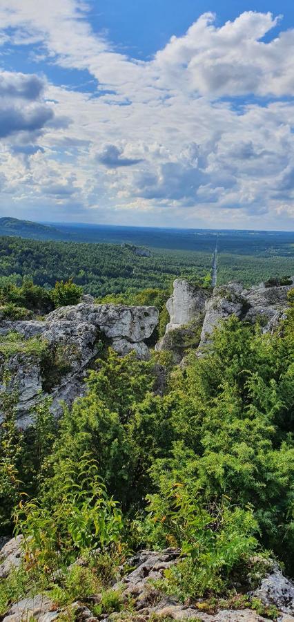Skalny Widok Villa Hucisko  ภายนอก รูปภาพ