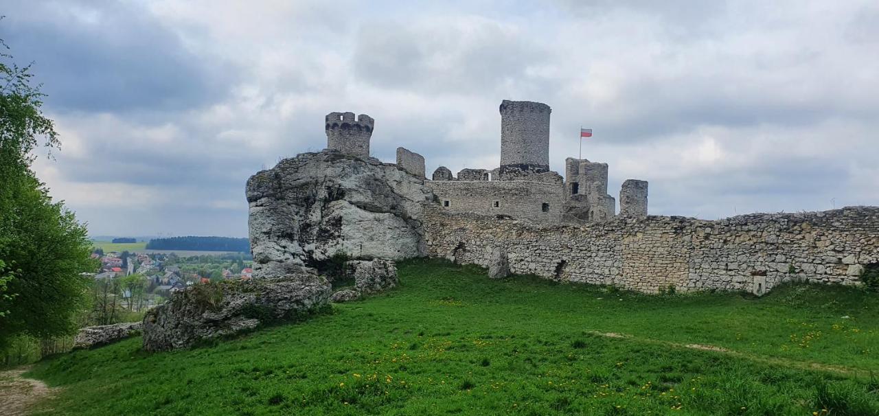 Skalny Widok Villa Hucisko  ภายนอก รูปภาพ