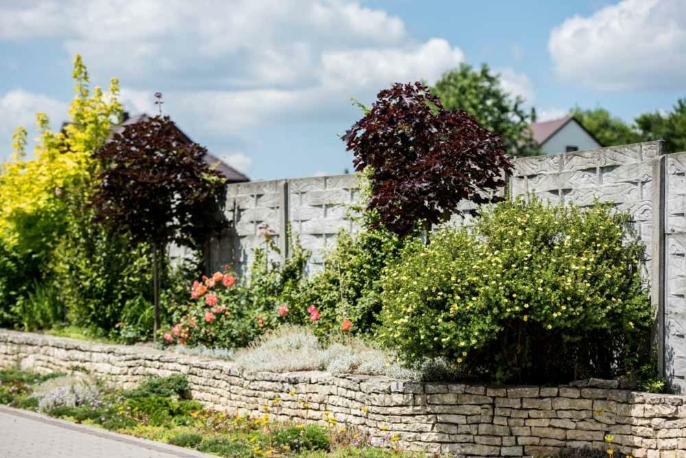 Skalny Widok Villa Hucisko  ภายนอก รูปภาพ